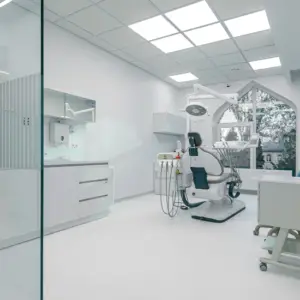 Fortis Silver Knight